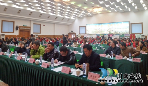 为企业全方位服务 泸州市返乡创业联合会成立(图5) 为企业全方位服务 泸州市返乡创业联合会成立(图5)