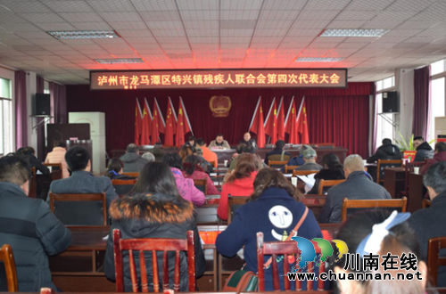 泸州特兴镇成功举办残疾人联合会第四次代表大会(图1)