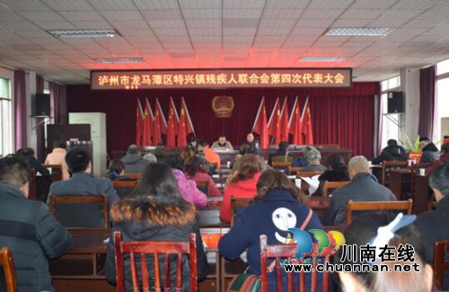 龙马潭区特兴镇举行残疾人联合会第四次代表大会(图1)