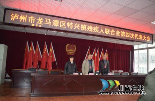 龙马潭区特兴镇举行残疾人联合会第四次代表大会(图2)