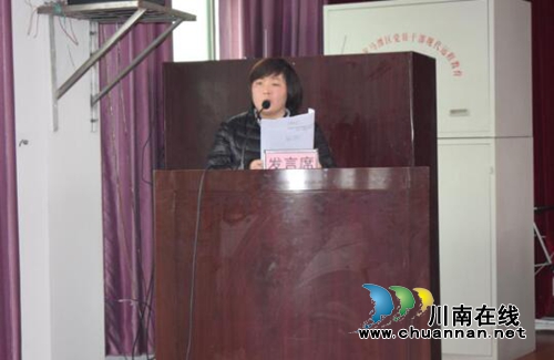 龙马潭区特兴镇举行残疾人联合会第四次代表大会(图3)