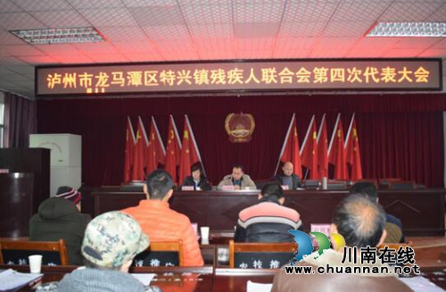 龙马潭区特兴镇举行残疾人联合会第四次代表大会(图4)