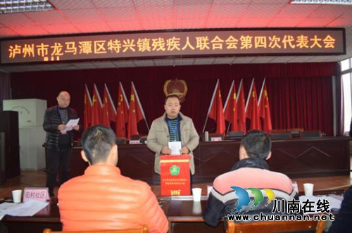 龙马潭区特兴镇举行残疾人联合会第四次代表大会(图6)