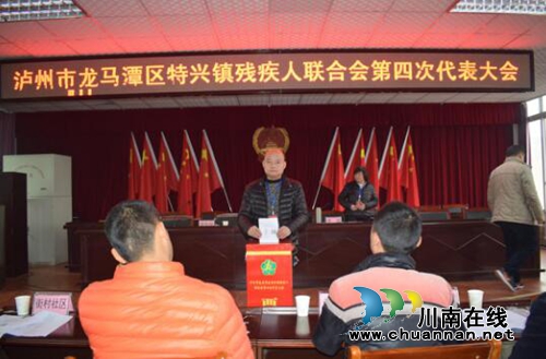 龙马潭区特兴镇举行残疾人联合会第四次代表大会(图5)