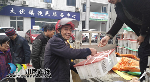 泸县太伏镇：免费发放兔苗&nbsp;助贫困残疾人脱贫