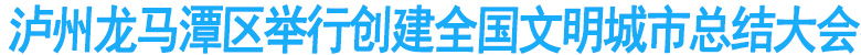 泸州龙马潭区举行创建全国文明城市总结大会
