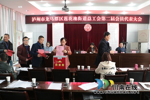 龙马潭区莲花池街道总工会第二届会员代表大会召开(图1)