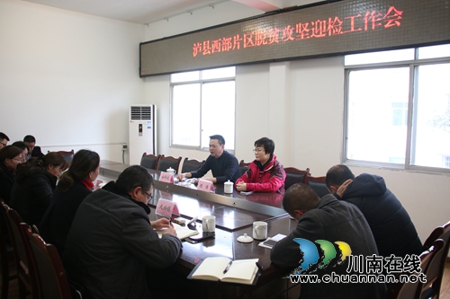 杜作文在泸县潮河镇召开泸县西部片区脱贫攻坚迎检工作会(图2)