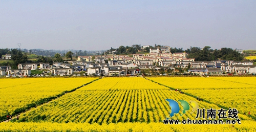 江阳区龙马潭区获评2016年县域经济发展先进县(图1)
