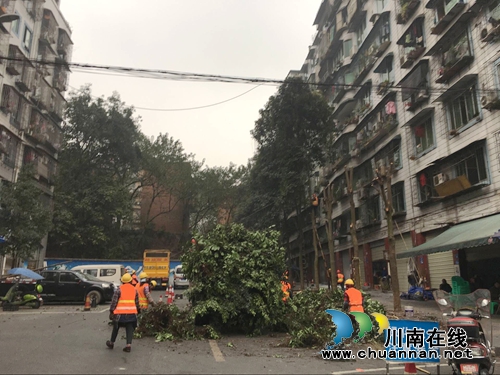红星街道龙桥子社区为辖区行道树“理发”迎新春