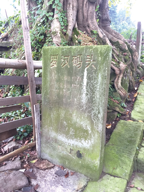 大城向东&nbsp;见证泸州新活力
