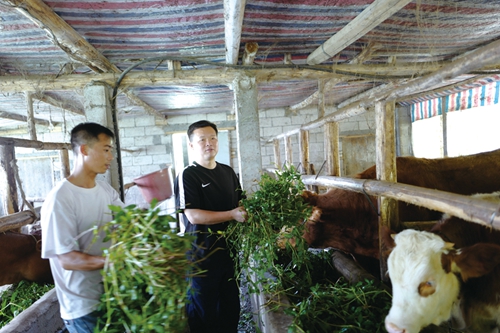 董红军:情暖百姓的“民心书记”(图7) 董红军:情暖百姓的“民心书记”(图7)