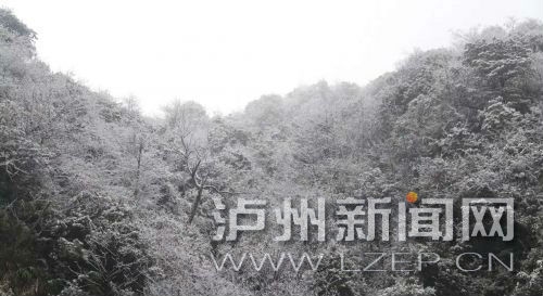“求雪”成功&nbsp;泸州古蔺迎来首场降雪(图1)