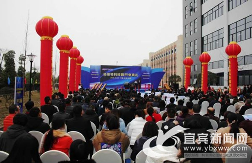 总投资2.6亿元 宜宾格莱特科技园开业(图1) 总投资2.6亿元 宜宾格莱特科技园开业(图1)