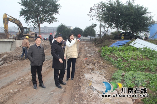 杨双全督导泸县云龙镇空港特色镇项目建设情况