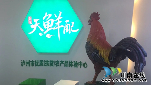 古蔺县大寨苗家农业科技公司古蔺来龙村小学献爱心