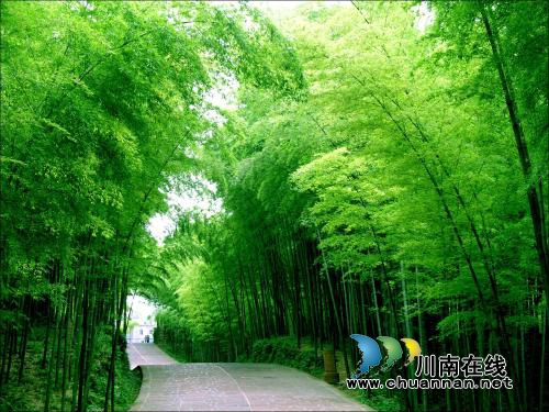 宜宾蜀南竹海成功创建四川省级旅游度假区(图2) 宜宾蜀南竹海成功创建四川省级旅游度假区(图2)