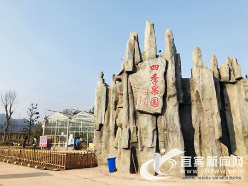 金沙江绿色农产品交流推介 宜宾屏山签约1.2亿(图4) 金沙江绿色农产品交流推介 宜宾屏山签约1.2亿(图4)