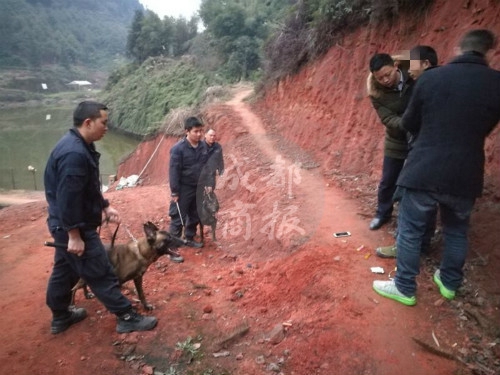 宜宾警犬搜山两小时&nbsp;嗅出涉200万元逃犯踪迹