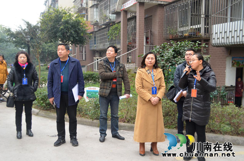 江阳区华阳街道组织人大代表、政协委员开展集中视察调研活动(图2)