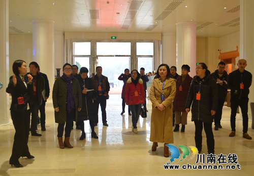 江阳区华阳街道组织人大代表、政协委员开展集中视察调研活动(图3)