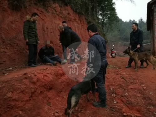 宜宾警犬搜山2小时&nbsp;嗅出涉案200万元逃犯踪迹(图1)