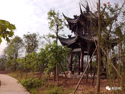 大城向南&nbsp;一江之隔看蜕变(图5)