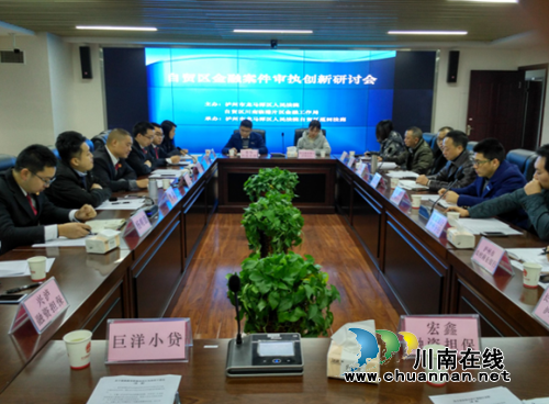 龙马潭法院召开自贸区金融案审执创新研讨会(图1)