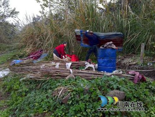 红星街道开展“一江一河”两岸环境卫生治理行动(图1) 红星街道开展“一江一河”两岸环境卫生治理行动(图1)