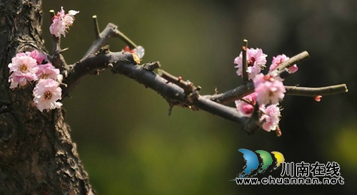 赵荣刚：时光的旅行（现代诗欣赏）(图3)