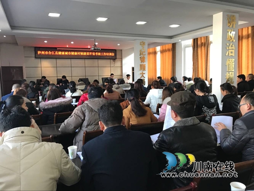 合江县召开泸州市健康城市健康村镇建设评估考核培训会