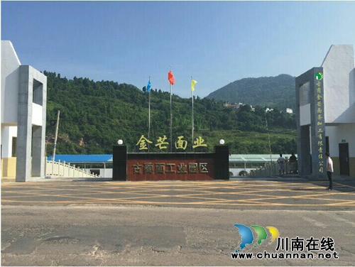 舌尖上的泸州味道－－古蔺金芒面(图1)