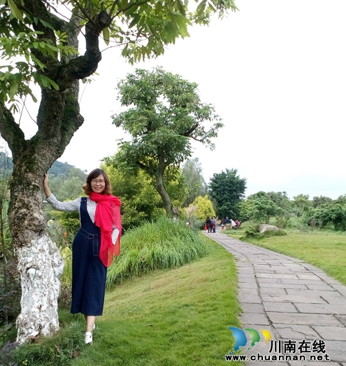 张蓉：油腻的中年（哲理美文）