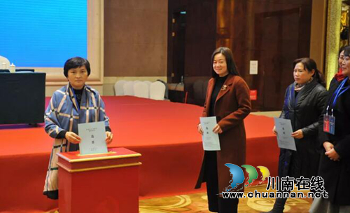 西南医大附院杜一华惠曦当选市人才协会理事(图4)