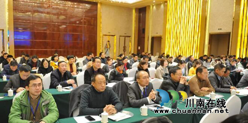 西南医大附院杜一华惠曦当选市人才协会理事(图7)
