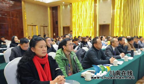 西南医大附院杜一华惠曦当选市人才协会理事(图6)