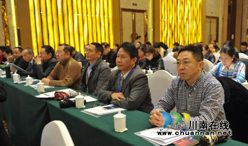 西南医大附院杜一华惠曦当选市人才协会理事(图8)