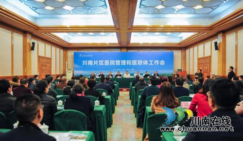 西南医大附院举行川南片区医院医联体工作会(图1)