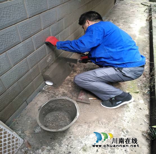 龙马潭区红星街道安装水泥灭鼠毒饵站1600个