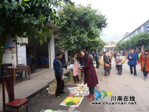 合江县真龙镇：食品药品安全知识进社区(图1)