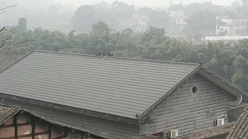 开豪车住别墅自称穷光蛋&nbsp;川豫联手治泸县老赖(图3)