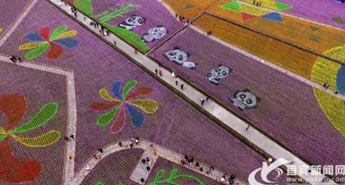 宜宾大坝童谣文化节开幕 100万支风车来争春(图2) 宜宾大坝童谣文化节开幕 100万支风车来争春(图2)