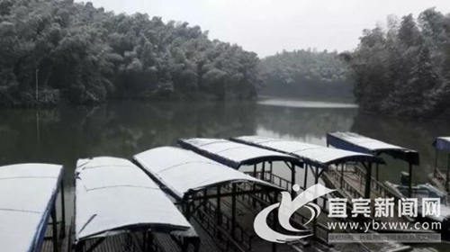 立春日下雪&nbsp;宜宾蜀南竹海白雪皑皑美如画(图2)