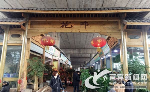 宜宾:春节临近花市人气旺 喜庆花卉装点新家(图6) 宜宾:春节临近花市人气旺 喜庆花卉装点新家(图6)