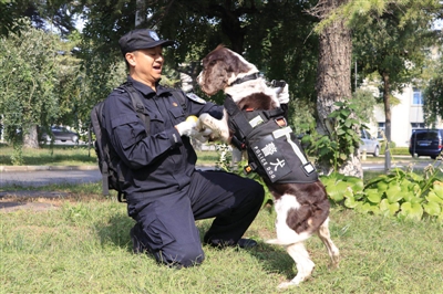 宜宾明星警犬“迪迪”去世 战友含泪送别(图1) 宜宾明星警犬“迪迪”去世 战友含泪送别(图1)