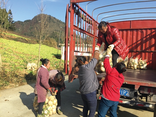 新时代&nbsp;新气象&nbsp;新作为&nbsp;&nbsp;泸州在行动”特别报道（二）(图13)