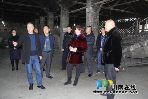 泸县副县长杜作文率队到云龙镇开展节前安全检查工作(图1)