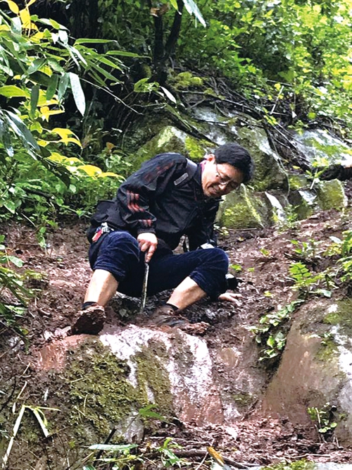 中草药图谱挖掘医用“宝藏”&nbsp;泸州民间药人助攻医药研究(图5)