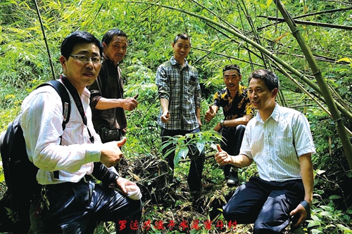 中草药图谱挖掘医用“宝藏”&nbsp;泸州民间药人助攻医药研究(图8)