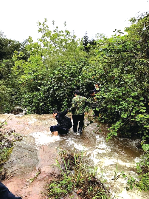 中草药图谱挖掘医用“宝藏”&nbsp;泸州民间药人助攻医药研究